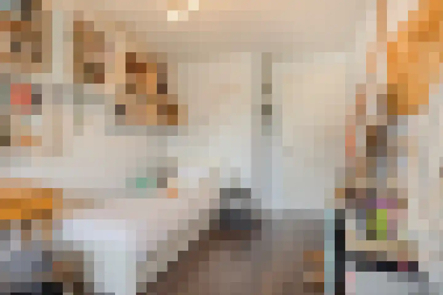 Sleutelbloem 22 Eijsden thumbnail 31