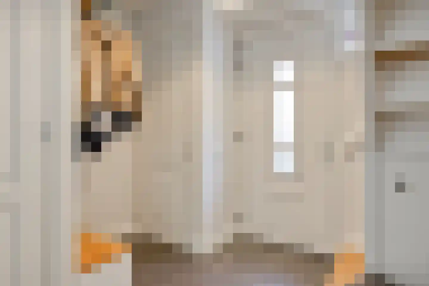 Sleutelbloem 22 Eijsden thumbnail 4