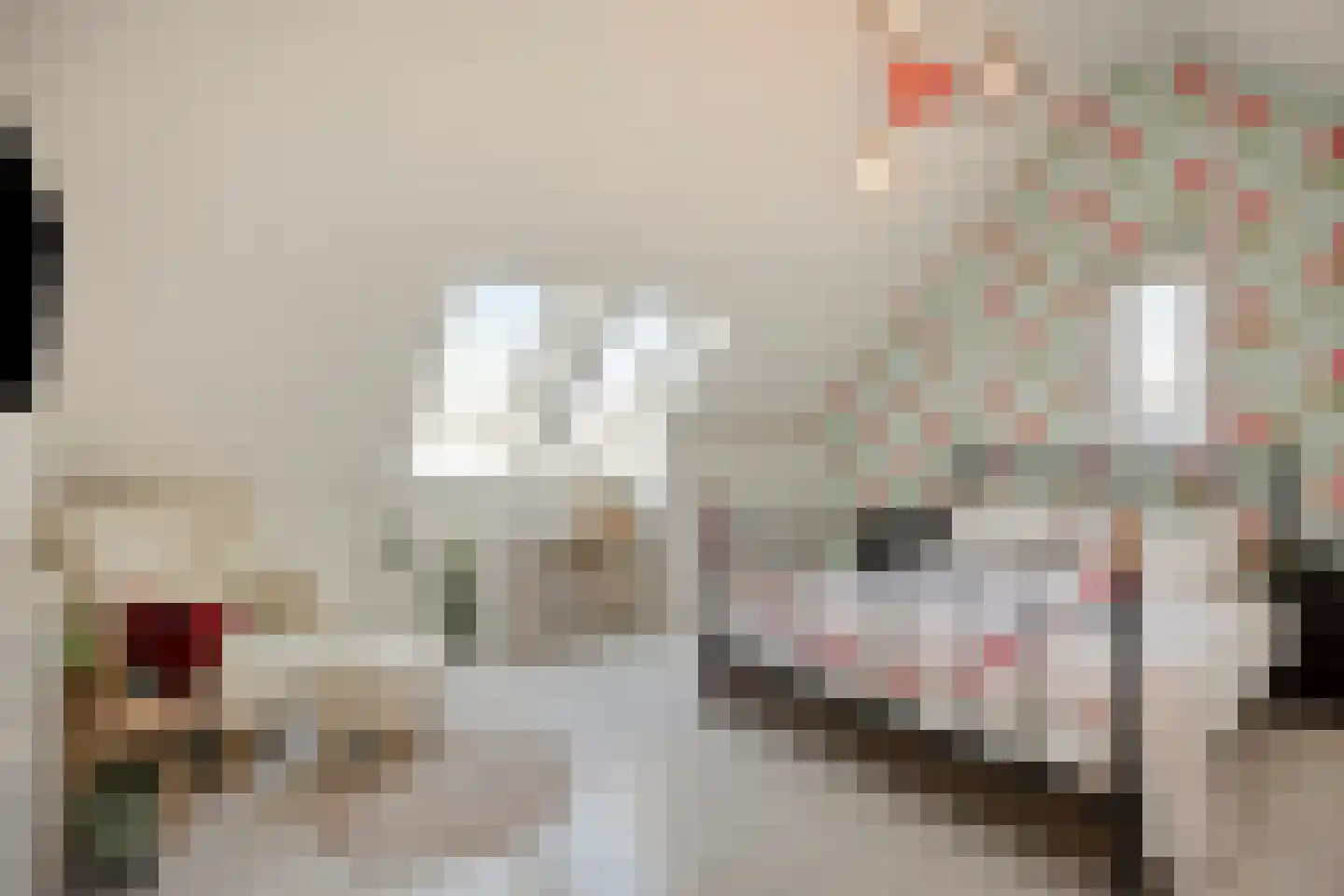 Sleutelbloem 22 Eijsden thumbnail 40