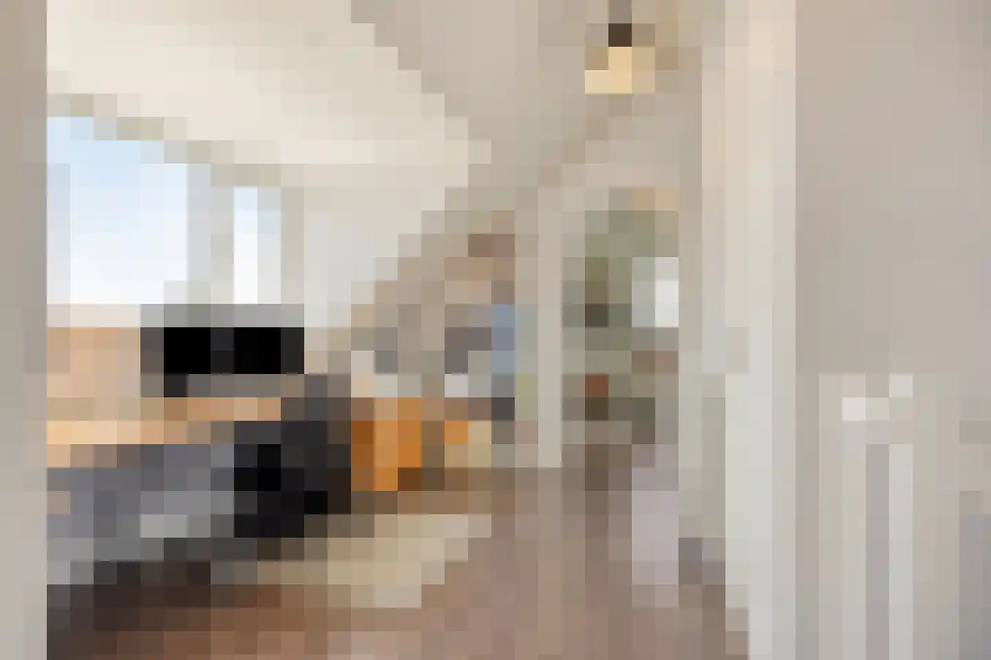 Sleutelbloem 22 Eijsden thumbnail 47