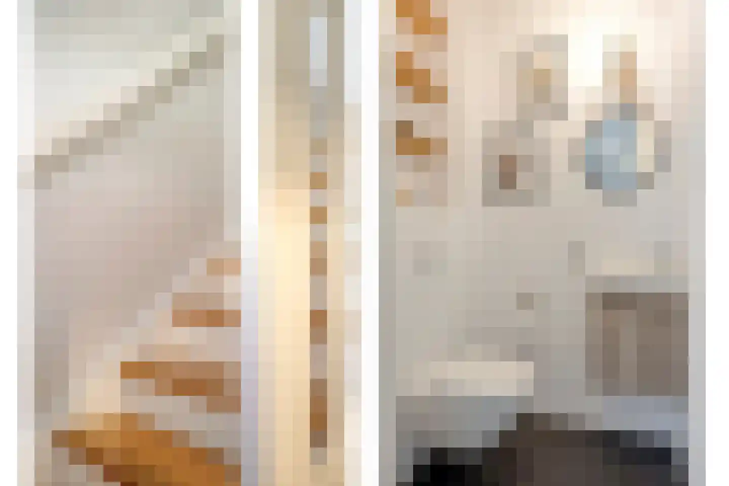 Sleutelbloem 22 Eijsden thumbnail 5