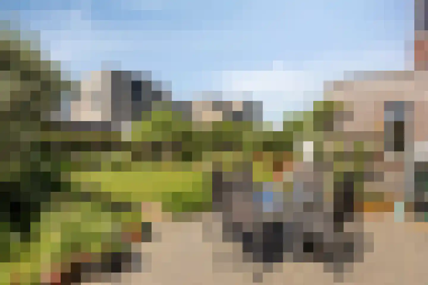Sleutelbloem 22 Eijsden thumbnail 54