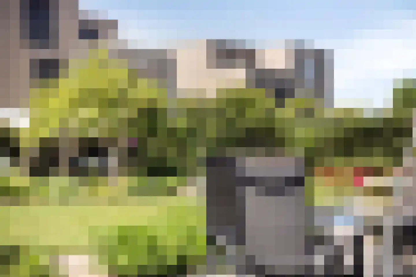 Sleutelbloem 22 Eijsden thumbnail 55