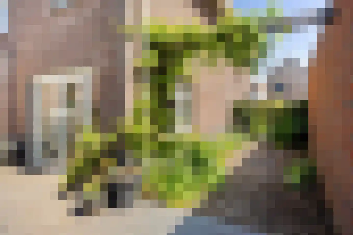 Sleutelbloem 22 Eijsden thumbnail 57