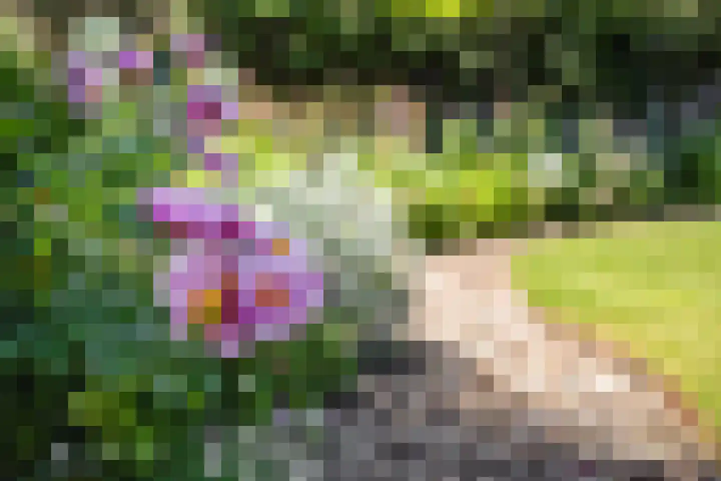 Sleutelbloem 22 Eijsden thumbnail 59
