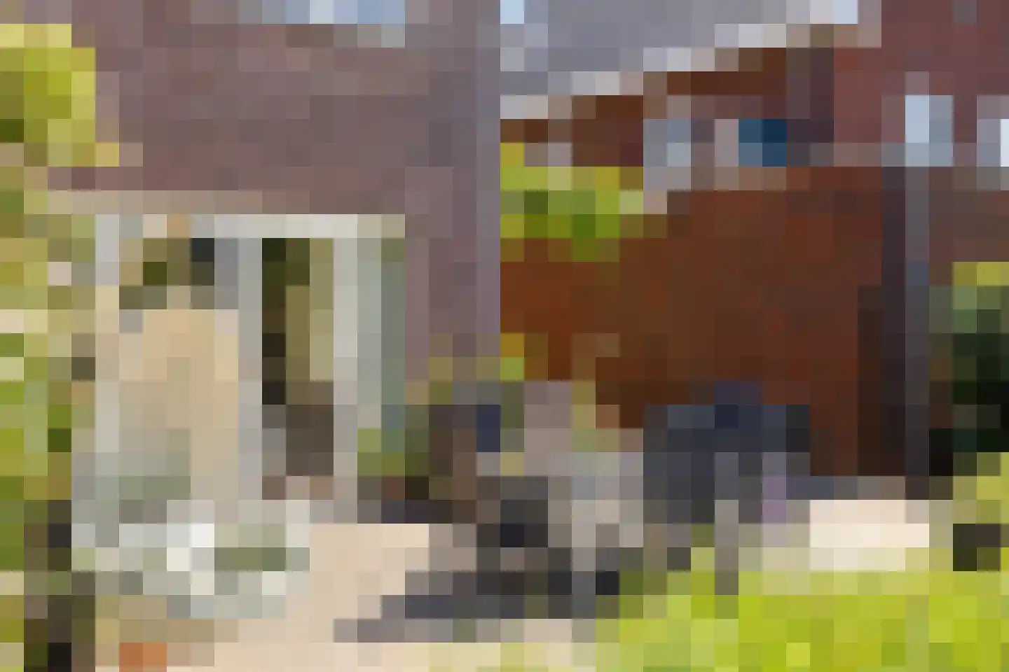 Sleutelbloem 22 Eijsden thumbnail 60
