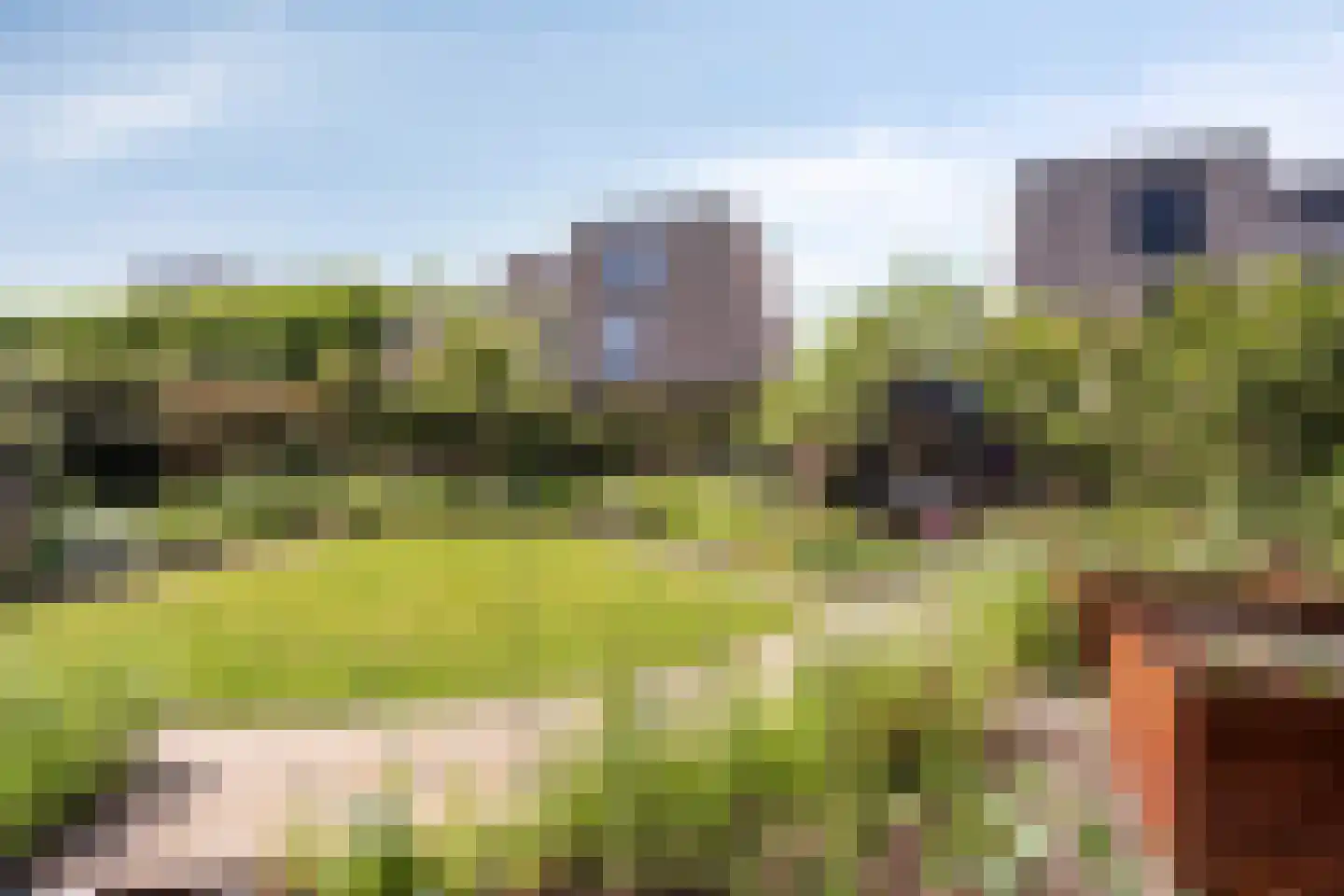 Sleutelbloem 22 Eijsden thumbnail 63