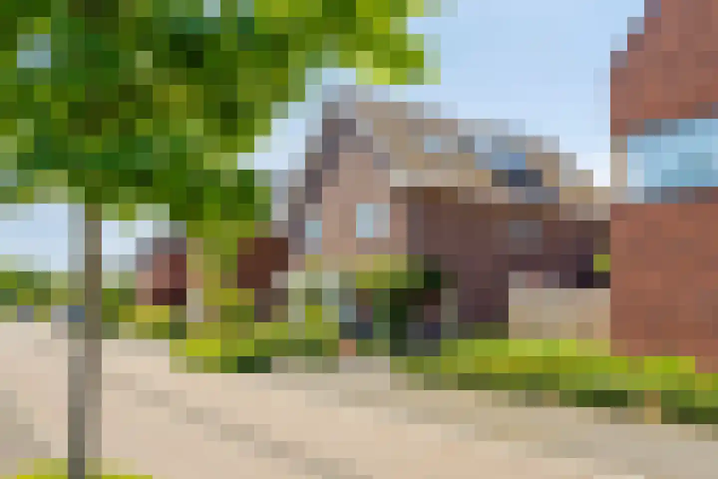 Sleutelbloem 22 Eijsden thumbnail 68