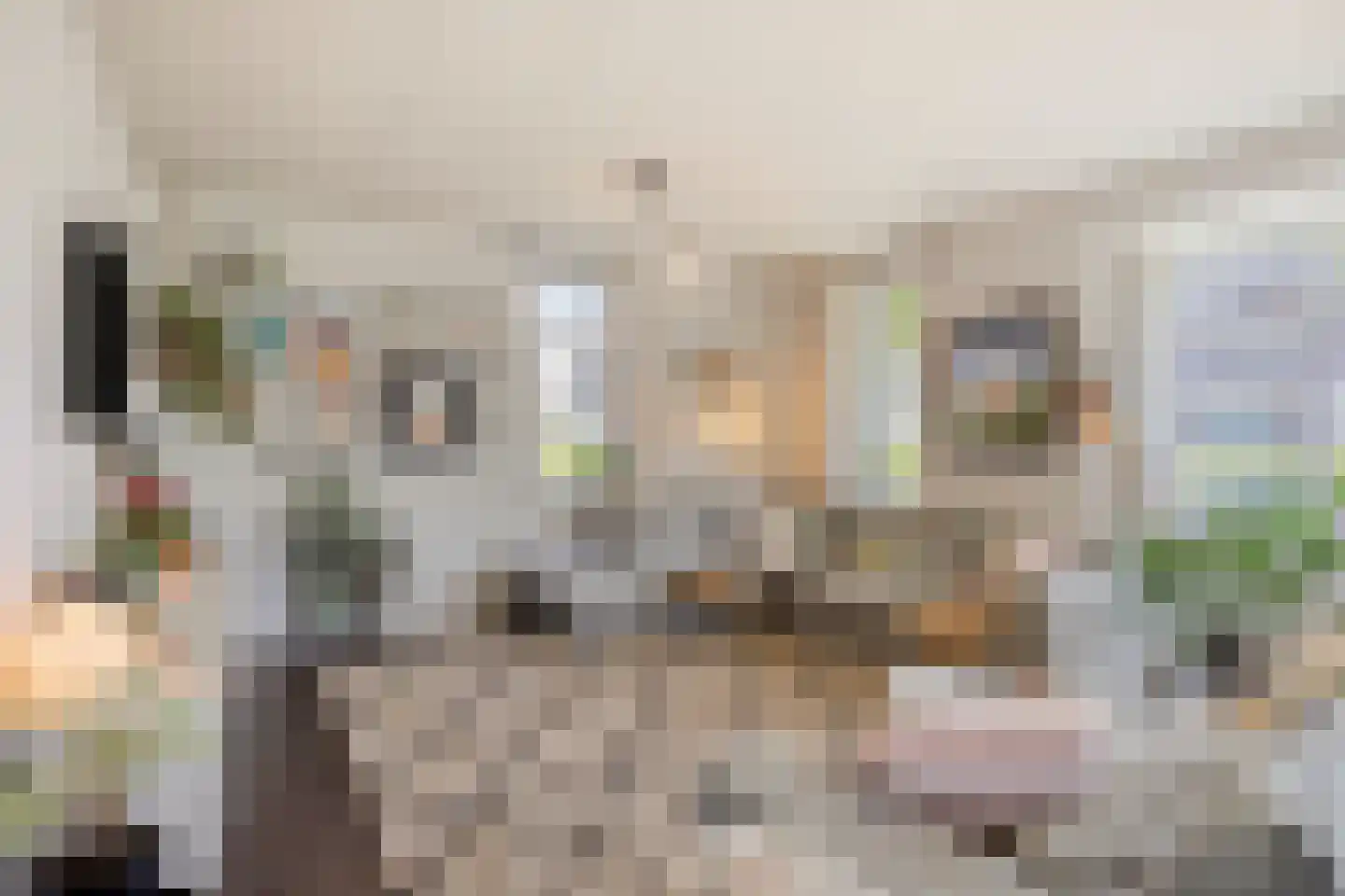 Sleutelbloem 22 Eijsden thumbnail 8