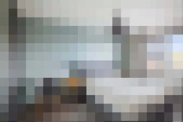 Sleutelbloem 24 Twello thumbnail 15