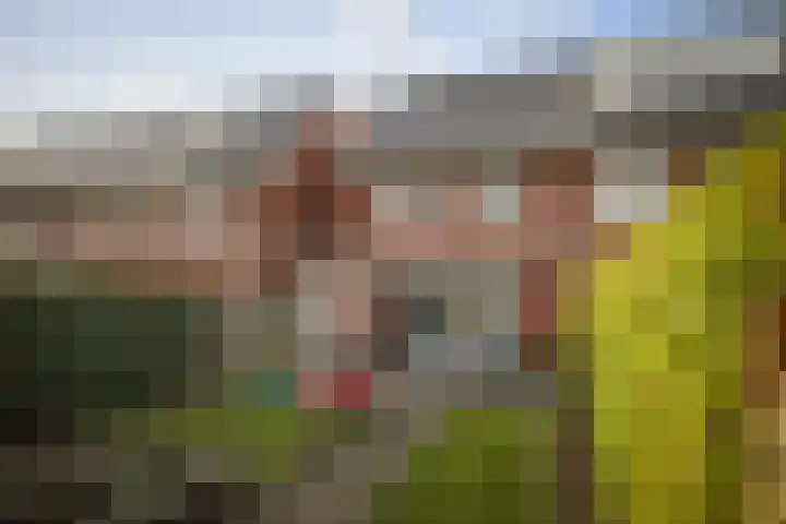 Sleutelbloem 24 Twello thumbnail 25
