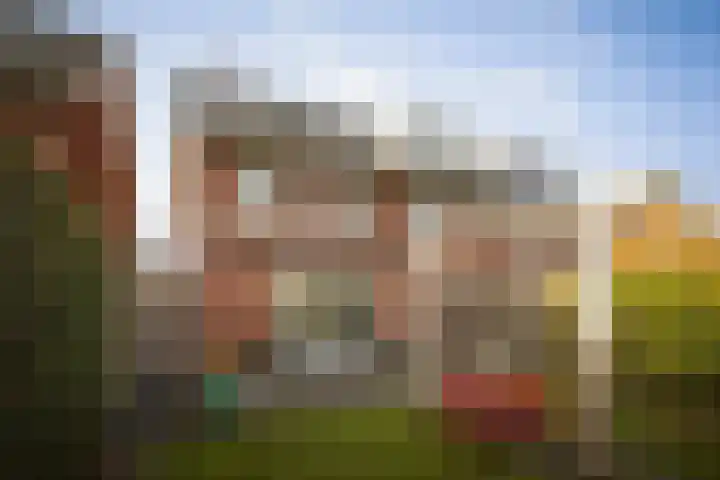 Sleutelbloem 24 Twello thumbnail 26