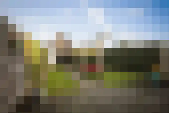 Sleutelbloem 24 Twello thumbnail 27