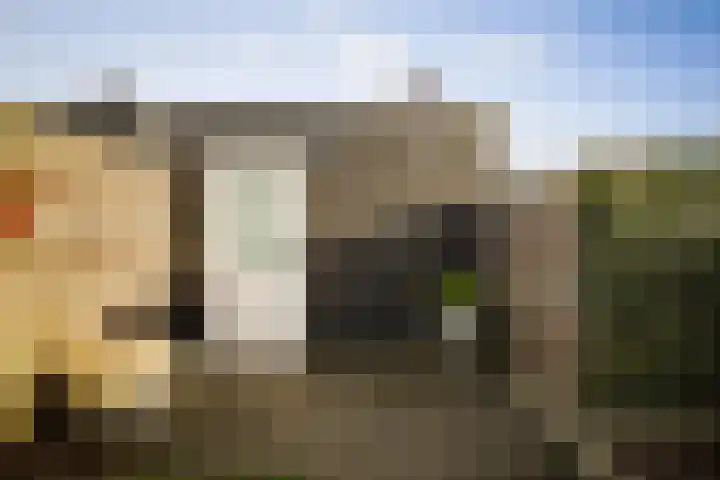 Sleutelbloem 24 Twello thumbnail 28