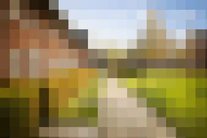 Sleutelbloem 24 Twello thumbnail 29