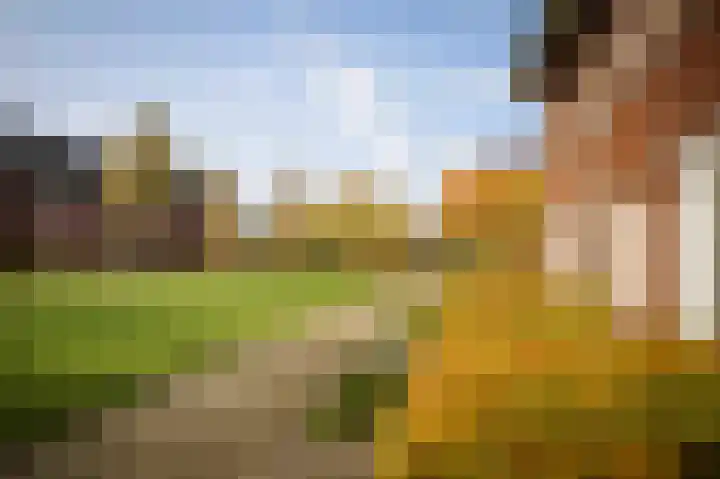 Sleutelbloem 24 Twello thumbnail 30