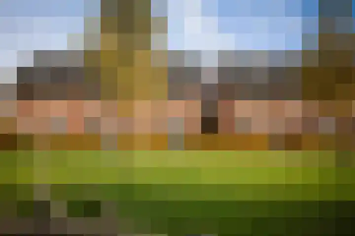 Sleutelbloem 24 Twello thumbnail 31