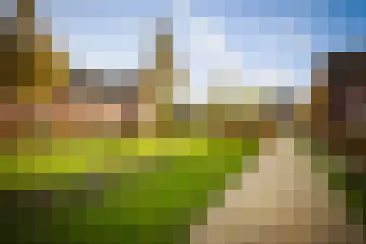 Sleutelbloem 24 Twello thumbnail 32