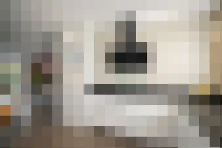 Sleutelbloem 24 Twello thumbnail 6