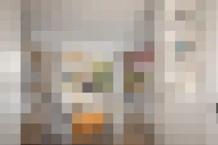 Sleutelbloem 24 Twello thumbnail 7