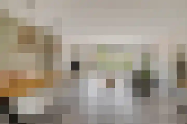 Sleutelbloem 25 Bodegraven thumbnail 12