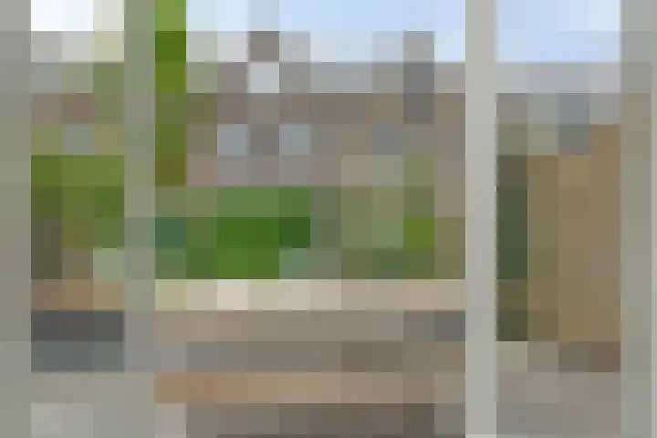 Sleutelbloem 25 Bodegraven thumbnail 17
