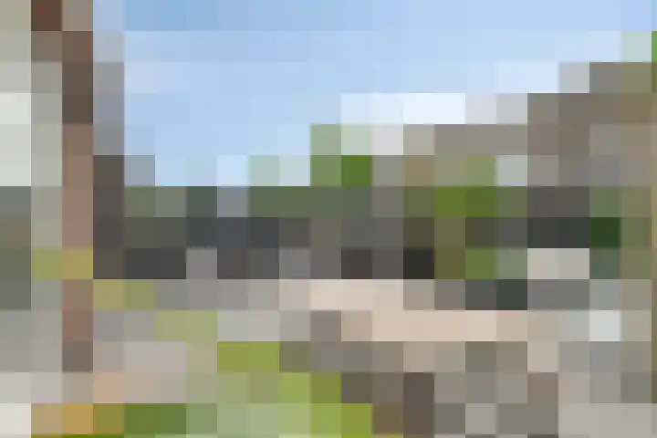 Sleutelbloem 25 Bodegraven thumbnail 18