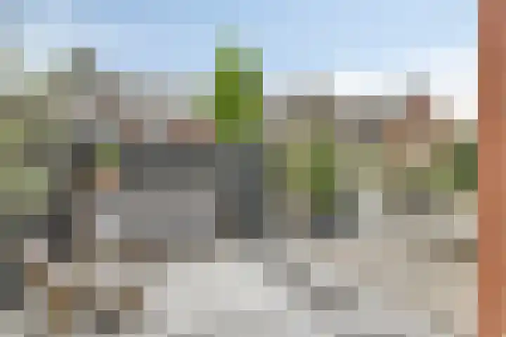Sleutelbloem 25 Bodegraven thumbnail 19