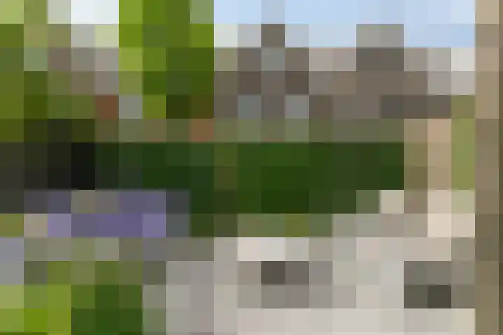 Sleutelbloem 25 Bodegraven thumbnail 20