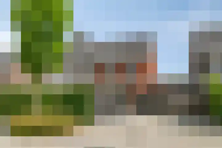 Sleutelbloem 25 Bodegraven thumbnail 21