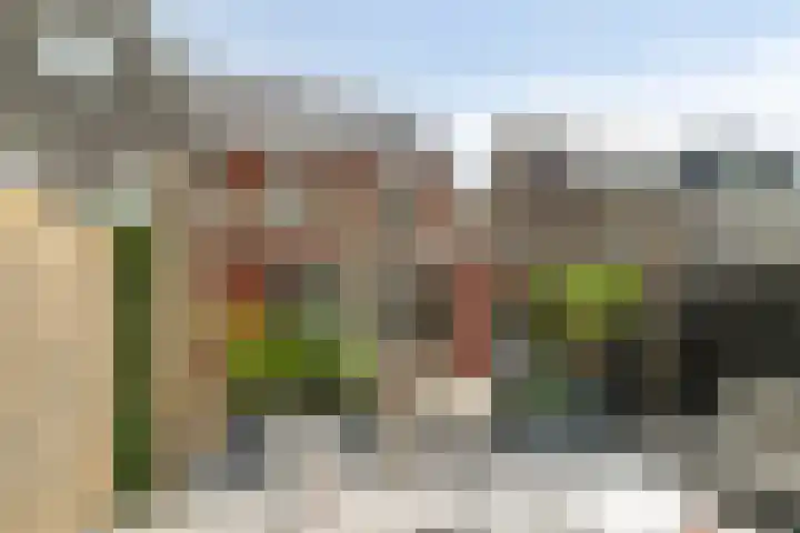 Sleutelbloem 25 Bodegraven thumbnail 22