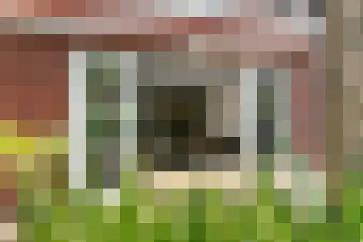 Sleutelbloem 25 Bodegraven thumbnail 24