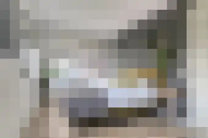Sleutelbloem 25 Bodegraven thumbnail 30