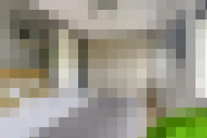 Sleutelbloem 25 Bodegraven thumbnail 31