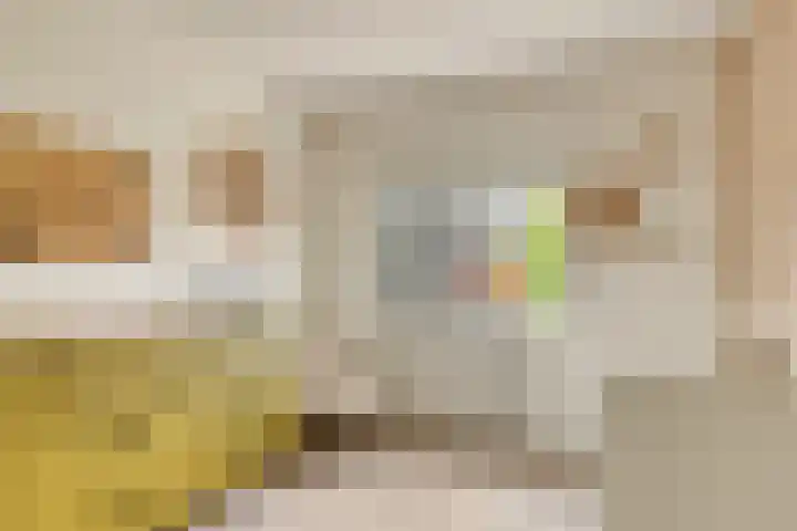 Sleutelbloem 25 Bodegraven thumbnail 33