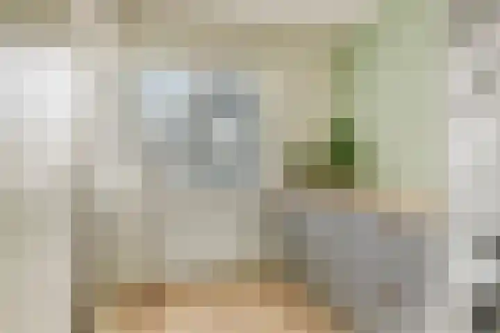 Sleutelbloem 25 Bodegraven thumbnail 34