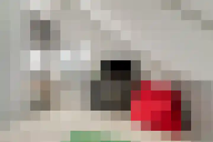 Sleutelbloem 25 Bodegraven thumbnail 38