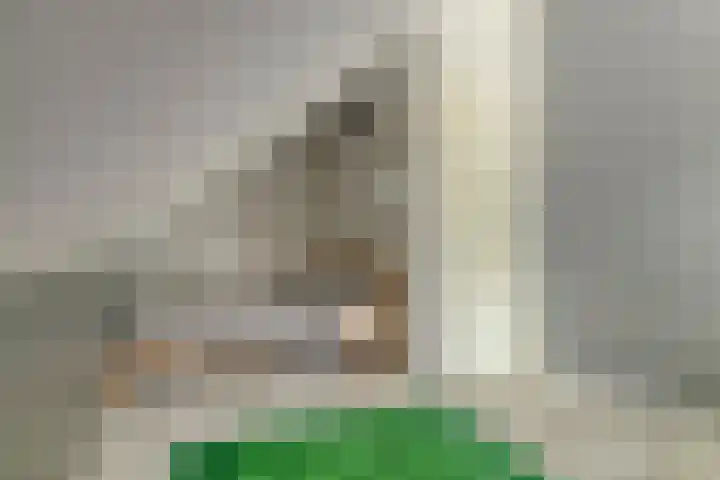 Sleutelbloem 25 Bodegraven thumbnail 39