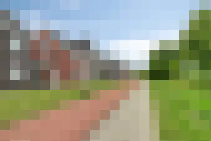 Sleutelbloem 25 Bodegraven thumbnail 4