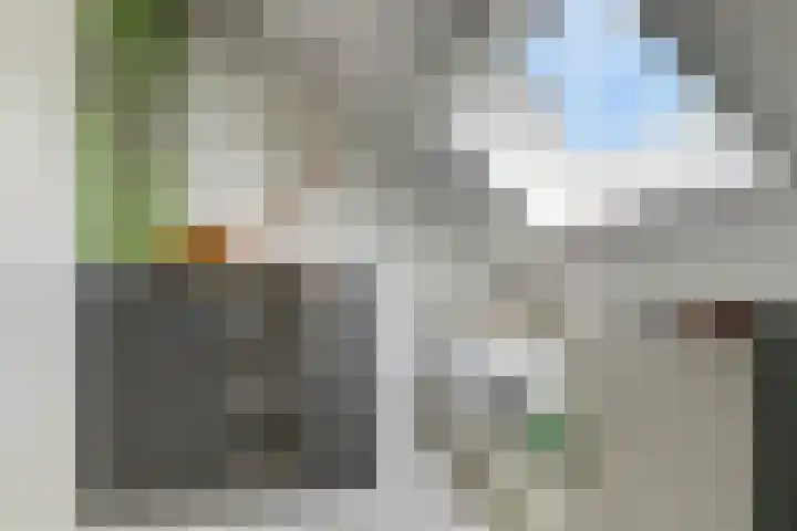Sleutelbloem 25 Bodegraven thumbnail 40