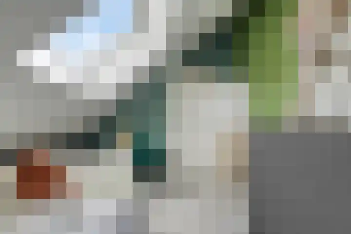 Sleutelbloem 25 Bodegraven thumbnail 41