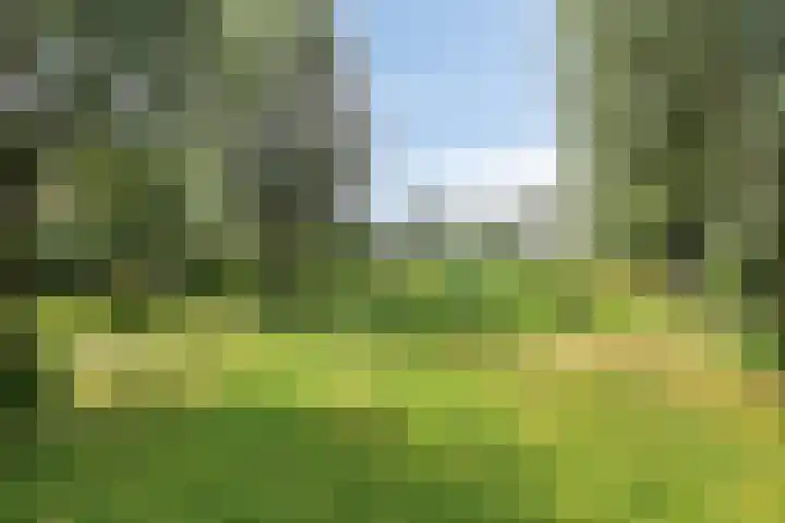 Sleutelbloem 25 Bodegraven thumbnail 42