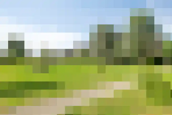 Sleutelbloem 25 Bodegraven thumbnail 43
