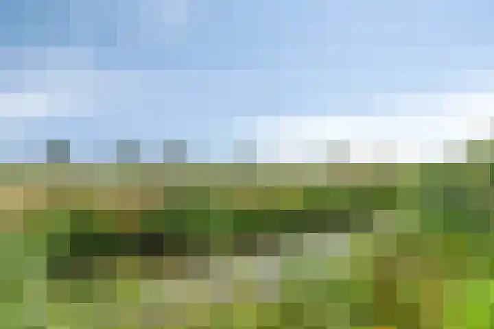 Sleutelbloem 25 Bodegraven thumbnail 44