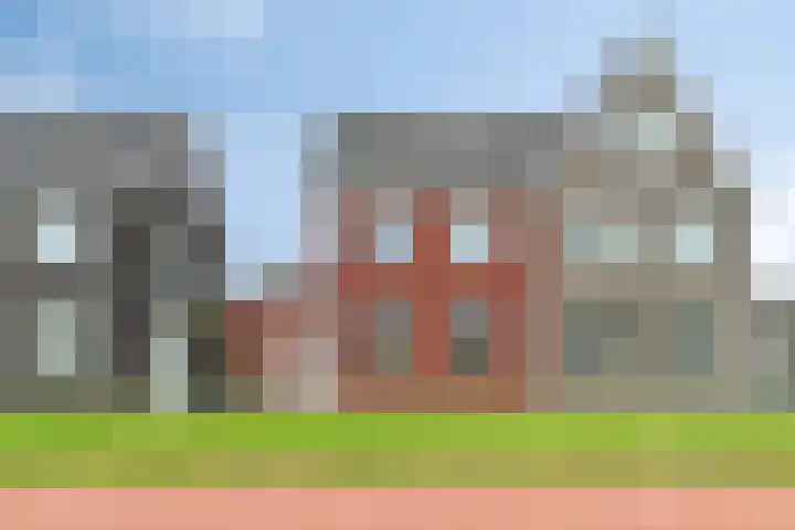 Sleutelbloem 25 Bodegraven thumbnail 45