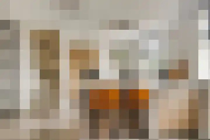 Sleutelbloem 25 Bodegraven thumbnail 7
