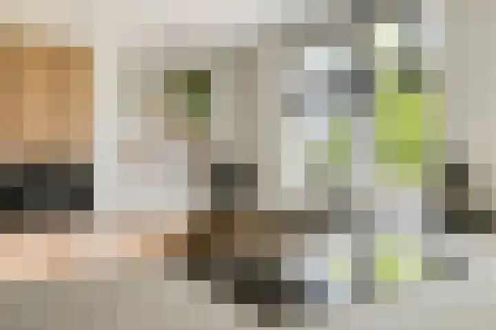 Sleutelbloem 25 Bodegraven thumbnail 8