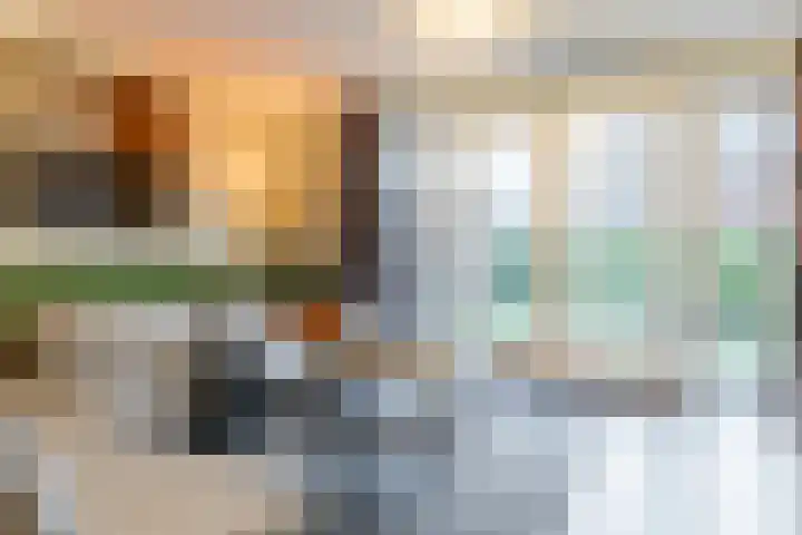 Sleutelbloem 27 Bodegraven thumbnail 14