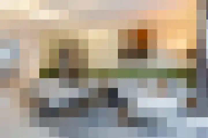 Sleutelbloem 27 Bodegraven thumbnail 15