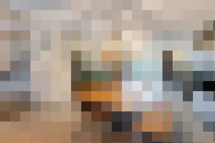 Sleutelbloem 27 Bodegraven thumbnail 18